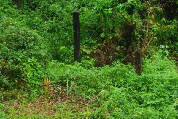 「避線跡　関長原関所跡　小岩砦　小根山森林公園に至る」とかかれた道標（右）。左の黒い柱は壊れた鳥居の柱。