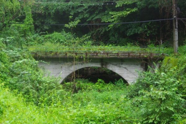 碓氷第6ずい道と第7ずい道（下り線）間から見える上り線の橋梁。