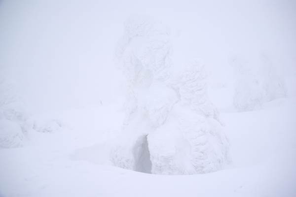 八甲田山スノーシューハイク IMGP6017