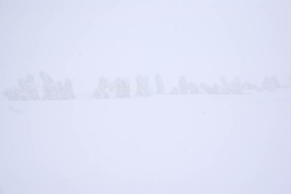 八甲田山スノーシューハイク IMGP6101
