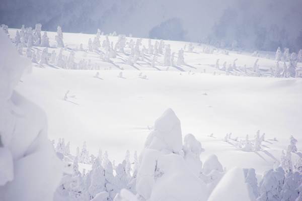八甲田山スノーシューハイク IMGP6235