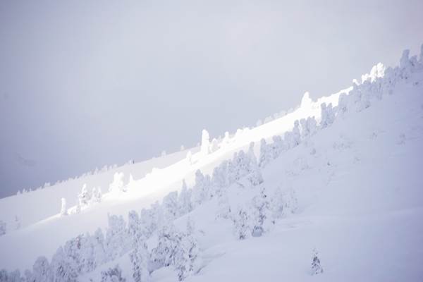 八甲田山スノーシューハイク IMGP6488