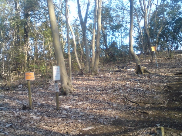 法政大学ジョギングコース