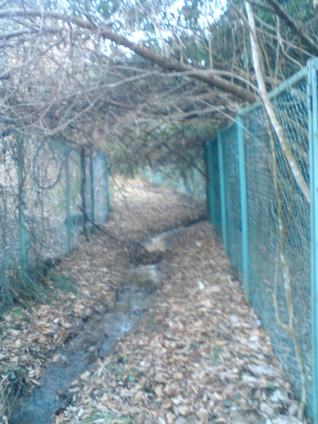 館清掃工場下の沢