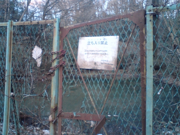 法政大学の敷地内の沼