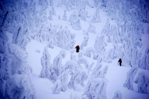 八甲田山・樹氷スノーシューハイク hakkoda_01