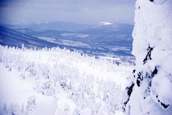 八甲田山・樹氷スノーシューハイク hakkoda_02