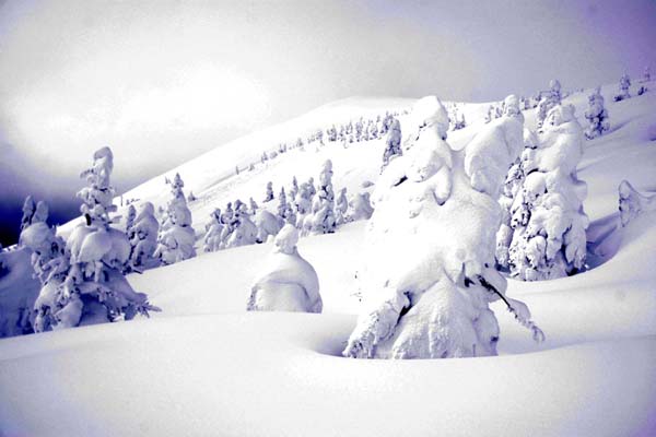 八甲田山・樹氷スノーシューハイク hakkoda_03