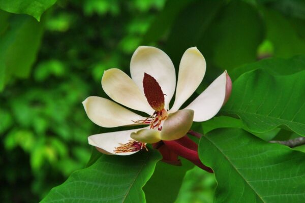 山田線　浅岸駅（廃止）　秘境駅　無人駅