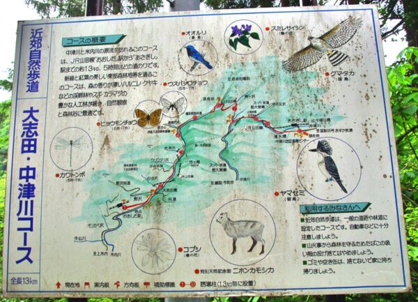 浅岸駅『近郊自然歩道　大志田・中津川コース』案内板