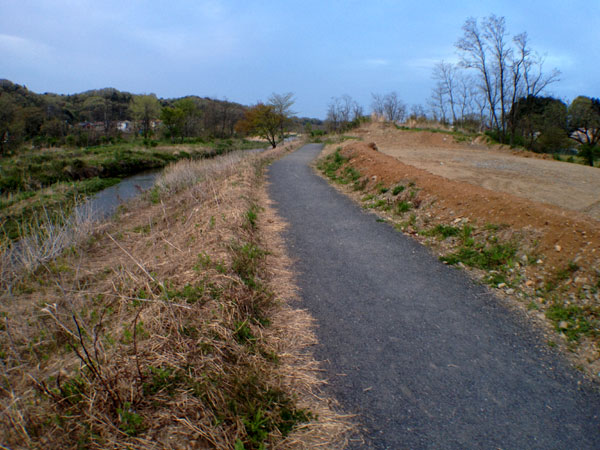 (珍工作物) 八王子市・北浅川の違法手作り橋(仮橋・流れ橋・勝手橋)