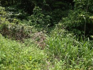 蛇塚～日立鉱山の大煙突展望～羽黒山～神峰山～気象観測所跡　（日立アルプス登山）
