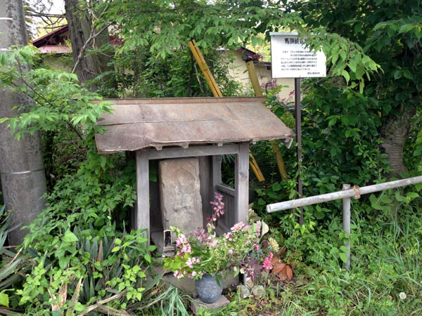 (珍工作物) 八王子市・北浅川の違法手作り橋(仮橋・流れ橋・勝手橋)