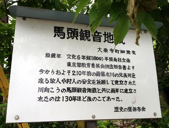 (珍工作物) 八王子市・北浅川の違法手作り橋(仮橋・流れ橋・勝手橋)