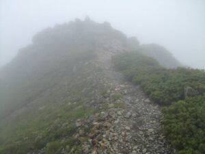 仙丈ヶ岳　山頂直下