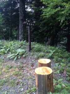 丹渓新道　分岐