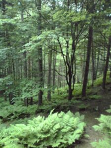 松峰小屋　出発