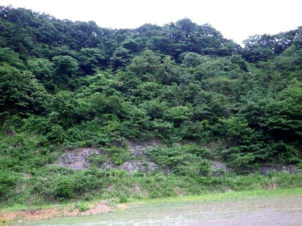 きだみのる「気違い部落」の里めぐり – 下恩方町・辺名集落