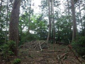 向山（むかいやま）頂上　標高386m　見通しも良くなく、何とも地味な野山である。