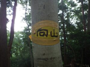 向山（むかいやま）頂上　標高386m。同表類はなく、テープの上にマジックで山名が書いてあるだけ。でもこの大雑把さ好き。