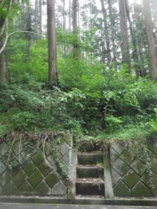 向山（むかいやま）を下り、「モリアオガエルの道（小津林道）」に出る。