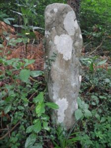 分岐のわきに古い石標があった。ここから今熊神社まで直線距離にして2.7km近くあるようだが、石標には「今熊山」と書いてあるように見える。