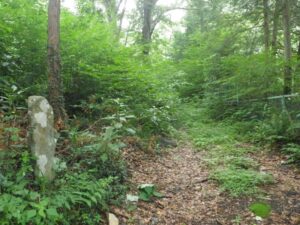 分岐のわきに古い石標があった。ここから今熊神社まで直線距離にして2.7km近くあるようだが、石標には「今熊山」と書いてあるように見える。
