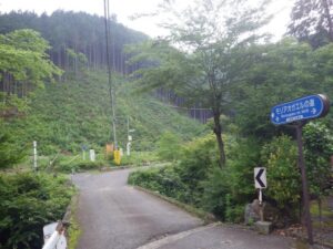 モリアオガエルの道（小津林道）