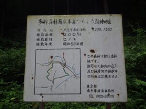 多摩森林育成事業つちよう造林地　昭和58年度
