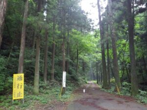 ここから先、昼間でも通行止めになってる。小津林道（モリアオガエルの道）。