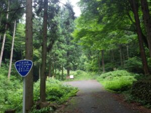 舗装路終点部。ここでもと来た道を引き返す。