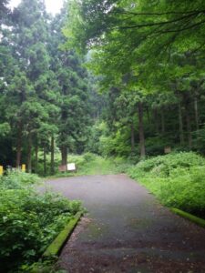 舗装路終点部。ここでもと来た道を引き返す。