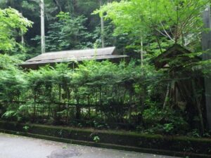 古い民家がひっそりと林の中に佇む。