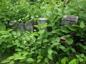 力石峠のわきにあった古い墓