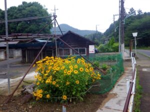 佐戸（さと）バス停（上恩方町）非常に雰囲気のあるバス停。
