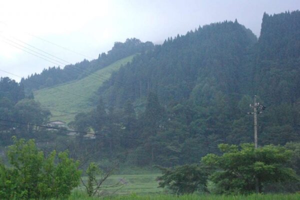 なだらかな白馬ハイランドスキー場の跡地。