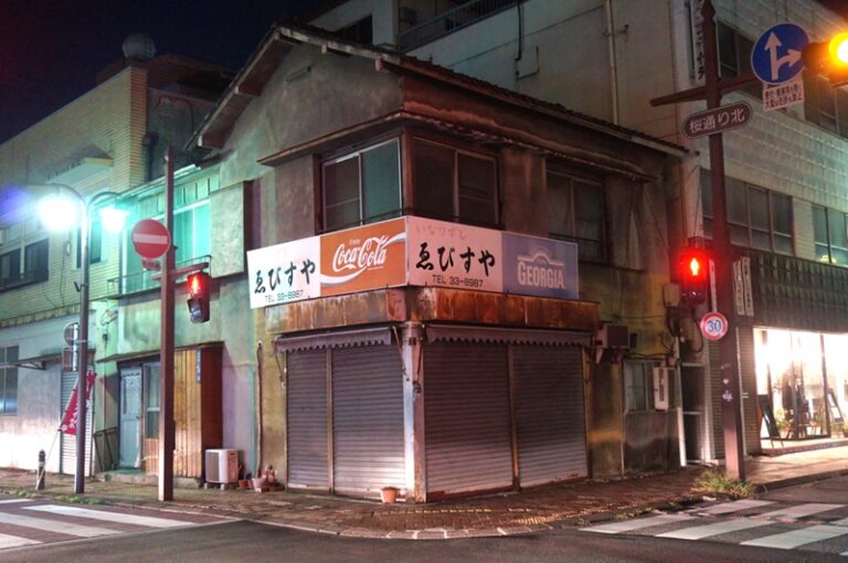 夜の甲府市内散策　甲府駅～史跡甲府城跡（舞鶴城）～甲府銀座通り商店街・仲見世～連雀問屋街～遊亀温泉～南甲府駅