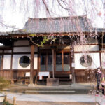 髙楽寺の枝垂れ桜　今年のライトアップ予定（八王子市　高尾）