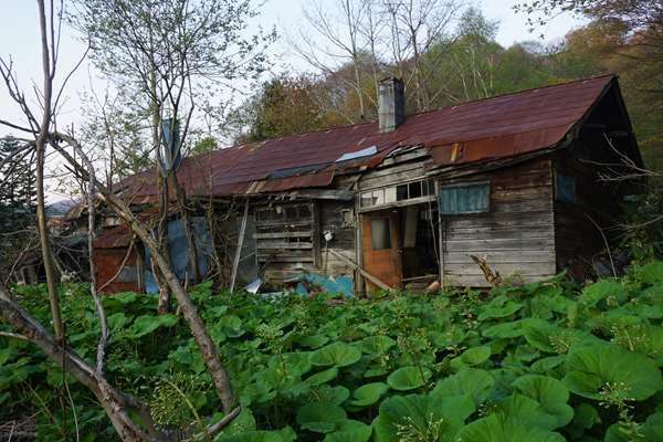 夕張本町キネマ街道~ユックさかい~梅ヶ枝通り
