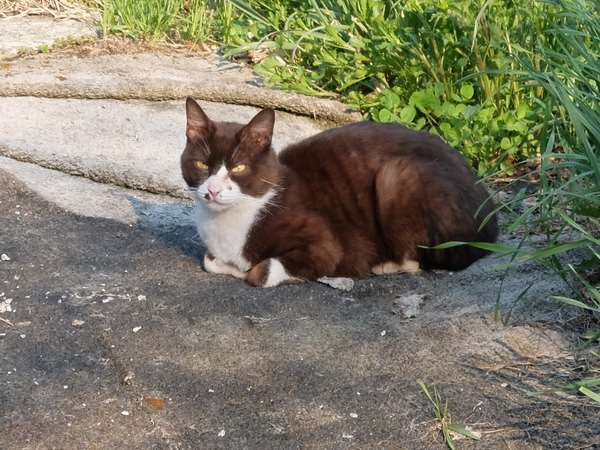 夕張本町キネマ街道~ユックさかい~梅ヶ枝通り