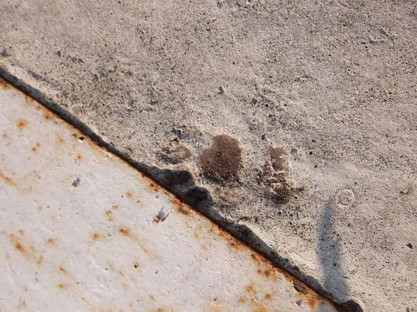 夕張本町キネマ街道~ユックさかい~梅ヶ枝通り