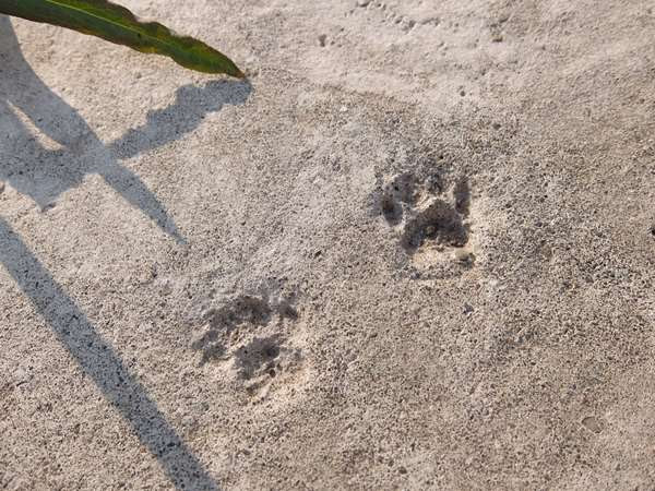 夕張本町キネマ街道~ユックさかい~梅ヶ枝通り