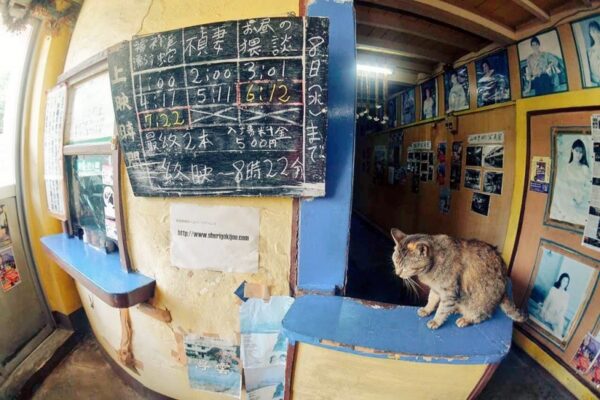 沖縄最古の映画館 那覇市 首里劇場(成人映画上映)