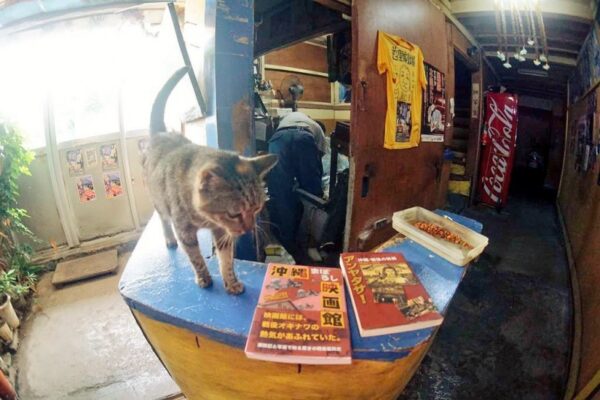 沖縄最古の映画館 那覇市 首里劇場(成人映画上映)