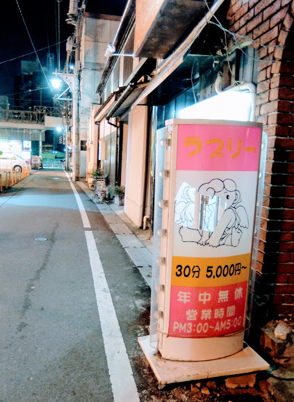 2017年1月7日 高崎 柳川町花街 赤線跡