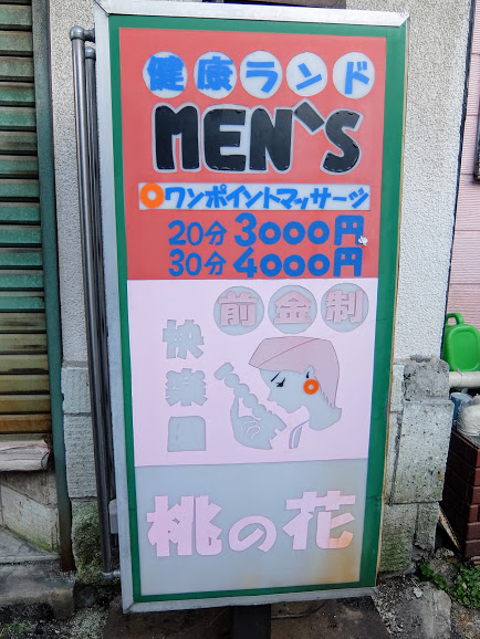 2017年1月7日 高崎 柳川町花街 赤線跡