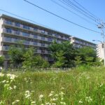 長房団地＆長房新栄商店街さんぽ