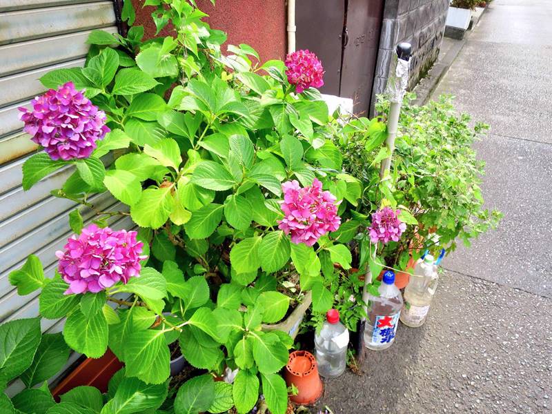八王子の商店街さんぽ(東町~横山町)