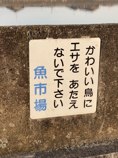 下之一色魚市場の朝市