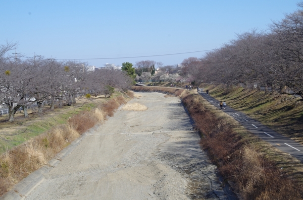 南浅川